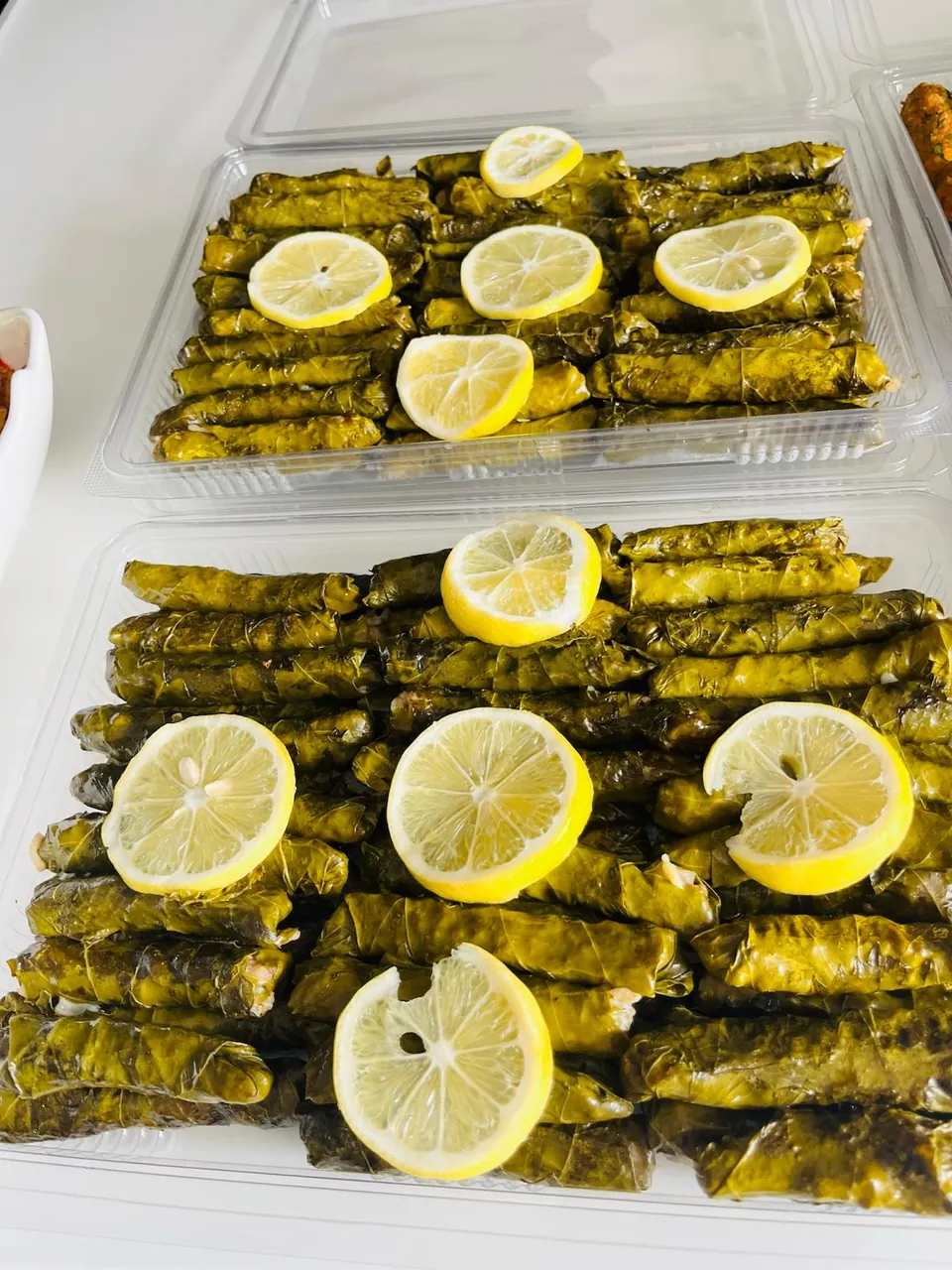 Plastik kaplarda dizilmiş, üzerinde limon dilimleri olan zeytinyağlı yaprak sarmalar
